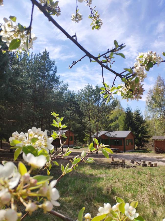 Agroturystyka Oaza Ciszy I Spokoju Miedzychod Exterior foto