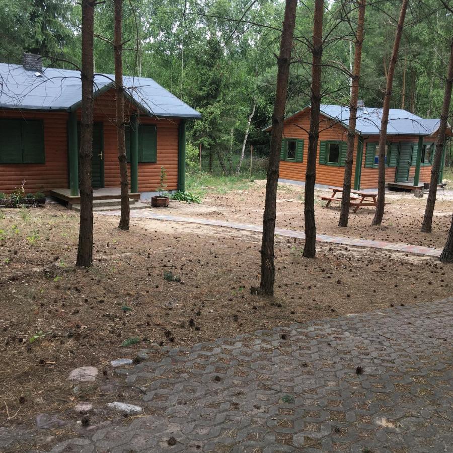 Agroturystyka Oaza Ciszy I Spokoju Miedzychod Exterior foto