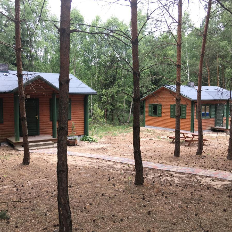 Agroturystyka Oaza Ciszy I Spokoju Miedzychod Exterior foto