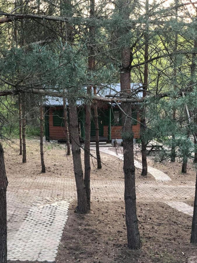 Agroturystyka Oaza Ciszy I Spokoju Miedzychod Exterior foto